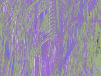 Omagoqa, Jumanji, Sizwe Alakine, K.Keed, JEPEDOH, Mvelo Makhanya, Ms. Cosmo, mp3, download, datafilehost, toxicwap, fakaza, Afro House, Afro House 2026, Afro House Mix, Afro House Music, Afro Tech, House Music