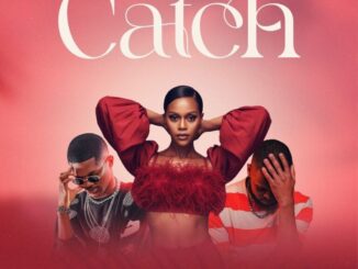 Sibu Jili, Catch, Quitesoul, Lacole Rsa, mp3, download, datafilehost, toxicwap, fakaza,House Music, Amapiano, Amapiano 2026, Amapiano Mix, Amapiano Music