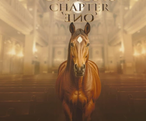 Stallion X, Genesis chapter 1, download ,zip, zippyshare, fakaza, EP, datafilehost, album, Kwaito Songs, Kwaito, Kwaito Mix, Kwaito Music, Kwaito Classics, Pop Music, Pop, Afro-Pop