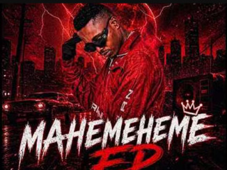 071 nelly the master beat, Mahemeheme,download, zip, zippyshare, fakaza, EP, datafilehost, album, House Music, Amapinao, Amapiano 2026, Amapiano Mix, Amapiano Music