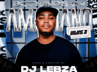 DJ Lebza, Sounds Of Amapiano Vol 31, Exclusive Mix, mp3, download, datafilehost, toxicwap, fakaza,House Music, Amapiano, Amapiano 2026, Amapiano Mix, Amapiano Music