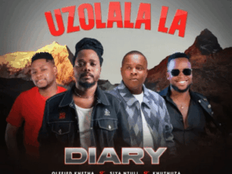 Diary, Uzolala La, Olefied Khetha, Siya Ntuli, Khuthuza, mp3, download, datafilehost, toxicwap, fakaza,House Music, Amapiano, Amapiano 2026, Amapiano Mix, Amapiano Music