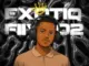 Exotiq Fiive02, Pure Intentions, mp3, download, datafilehost, toxicwap, fakaza, Deep House Mix, Deep House, Deep House Music, Deep Tech, Afro Deep Tech, House Music