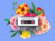GL_Ceejay, Sekwanele, JazzWrld, Nkosazana Daughter, Da Lee LS, mp3, download, datafilehost, toxicwap, fakaza,House Music, Amapiano, Amapiano 2026, Amapiano Mix, Amapiano Music