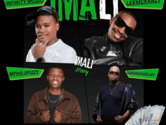 Infinity MusiQ, Imali, Leemckrazy, Mpho Spizzy, SjavasDaDeejay, Al Xapo, Sinnyman’que, mp3, download, datafilehost, toxicwap, fakaza,House Music, Amapiano, Amapiano 2026, Amapiano Mix, Amapiano Music