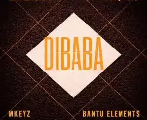 Ladi Adiosoul, DIBABA, Blaq Note, Mkeyz, Bantu Elements, mp3, download, datafilehost, toxicwap, fakaza,House Music, Amapiano, Amapiano 2026, Amapiano Mix, Amapiano Music