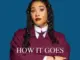 Lady Zamar, How It Goes, mp3, download, datafilehost, toxicwap, fakaza, Afro House, Afro House 2026, Afro House Mix, Afro House Music, Afro Tech, House Music