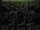 LebtoniQ, POLOPO 44 Mix, mp3, download, datafilehost, toxicwap, fakaza,House Music, Amapiano, Amapiano 2026, Amapiano Mix, Amapiano Music