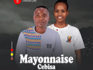 Mayonnaise Cebisa, If I Were A Boy, download ,zip, zippyshare, fakaza, EP, datafilehost, album, Maskandi Songs, Maskandi, Maskandi Mix, Maskandi Music, Maskandi Classics