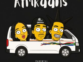 Priddy Prince, Afrikaans, Kay Medusa, LD Beats, mp3, download, datafilehost, toxicwap, fakaza, Hiphop, Hip hop music, Hip Hop Songs, Hip Hop Mix, Hip Hop, Rap, Rap Music