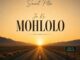 Saint Pitso, Jo Ke Mohlolo,mp3, download, datafilehost, toxicwap, fakaza, Afro House, Afro House 2026, Afro House Mix, Afro House Music, Afro Tech, House Music