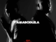 Teraphonique, Amabodlela, DNZL444, MadollaFx.CEO, Nk108,mp3, download, datafilehost, toxicwap, fakaza,House Music, Amapiano, Amapiano 2026, Amapiano Mix, Amapiano Music