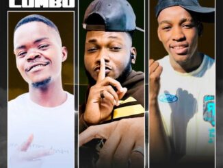 TopDawg SA, Amacombo Heat, Tito Keys, Msta Villi, mp3, download, datafilehost, toxicwap, fakaza,House Music, Amapiano, Amapiano 2026, Amapiano Mix, Amapiano Music