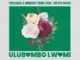 Yogilocco, Ulubambo Lwami, UMngomezulu's Healing Touch, AdhesiveTwins, Trevor Mako, mp3, download, datafilehost, toxicwap, fakaza, Deep House Mix, Deep House, Deep House Music, Deep Tech, Afro Deep Tech, House Music