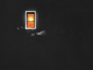 Bees, Daylight, Honey, Al Xapo, mp3, download, datafilehost, toxicwap, fakaza,House Music, Amapiano, Amapiano 2026, Amapiano Mix, Amapiano Music