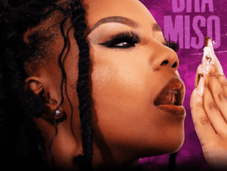 Bra Miso, ISKHIPA, Enny Man Da Guitar, Sia_TheBee, DJ Mobla, Snokonoko, Zela Force, Differ Lowdy, mp3, download, datafilehost, toxicwap, fakaza,House Music, Amapiano, Amapiano 2026, Amapiano Mix, Amapiano Music