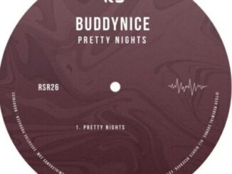 Buddynice, Pretty Nights,mp3, download, datafilehost, toxicwap, fakaza,House Music, Amapiano, Amapiano 2026, Amapiano Mix, Amapiano Music
