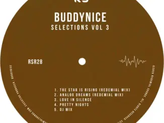 Buddynice, Selections, Vol. 3, download ,zip, zippyshare, fakaza, EP, datafilehost, album, Deep House Mix, Deep House, Deep House Music, Deep Tech, Afro Deep Tech, House Music