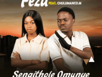 Feza, Sengithole Omunye, Remix, Chulumanco M, mp3, download, datafilehost, toxicwap, fakaza, Maskandi Songs, Maskandi, Maskandi Mix, Maskandi Music, Maskandi Classics