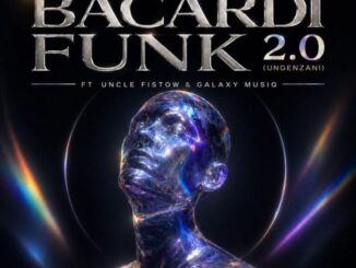 Golden DJz, Barcadi Funk 2.0, Ungenzani, Tonique Musiq, Nkanyezi Kubheka, Uncle Fistow, Galaxy MusiQ, mp3, download, datafilehost, toxicwap, fakaza,House Music, Amapiano, Amapiano 2026, Amapiano Mix, Amapiano Music