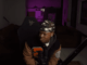 Nasty C, Plot Twistn, C-Mix,mp3, download, datafilehost, toxicwap, fakaza, Hiphop, Hip hop music, Hip Hop Songs, Hip Hop Mix, Hip Hop, Rap, Rap Music