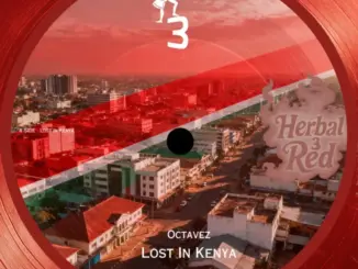 Octavez, Lost In Kenya,download ,zip, zippyshare, fakaza, EP, datafilehost, album, Afro House, Afro House 2026, Afro House Mix, Afro House Music, Afro Tech, House Music