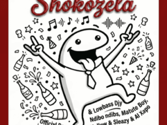 Officixl RSA, Shokozela, Lowbass Djy, Ndibo Ndibs, Mellow, Sleazy, Matute Boy, mp3, download, datafilehost, toxicwap, fakaza,House Music, Amapiano, Amapiano 2026, Amapiano Mix, Amapiano Music