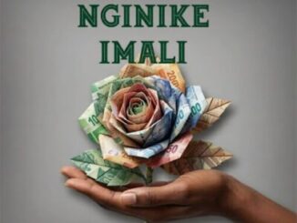 Pexi-Tonic SA, Nginike imali, DJ 9.8 SA, Ceekay Musiq, Cardinal X25, Nana RSA, mp3, download, datafilehost, toxicwap, fakaza,House Music, Amapiano, Amapiano 2026, Amapiano Mix, Amapiano Music