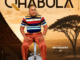 Qhabula, Wayedakwa, Njabulo Langa,mp3, download, datafilehost, toxicwap, fakaza, Maskandi Songs, Maskandi, Maskandi Mix, Maskandi Music, Maskandi Classics