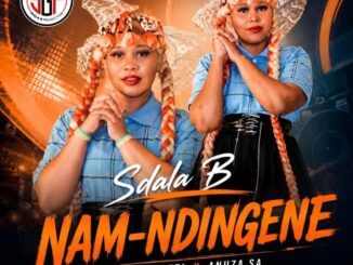 Sdala B, Nam Ndingene, Linkanyezi, Anuza SA, mp3, download, datafilehost, toxicwap, fakaza,House Music, Amapiano, Amapiano 2026, Amapiano Mix, Amapiano Music