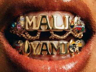 Sir Trill, Mali Yami, Udoti Udemedi, Snaka, K-Zaka, Born Kxng, Deestar ZA,mp3, download, datafilehost, toxicwap, fakaza,House Music, Amapiano, Amapiano 2026, Amapiano Mix, Amapiano Music