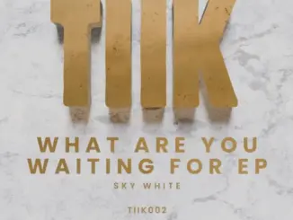 Sky White, What Are You Waiting For, download ,zip, zippyshare, fakaza, EP, datafilehost, album, Afro House, Afro House 2026, Afro House Mix, Afro House Music, Afro Tech, House Music
