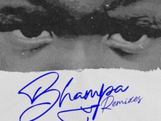 Vigro Deep, Ch’cco, Zee Nxumalo, Various Artists, Bhampa, Remixes, download, zip, zippyshare, fakaza, EP, datafilehost, album, House Music, Amapinao, Amapiano 2026, Amapiano Mix, Amapiano Music