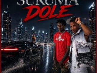 Bizze, Sukuma Dole, Mtalibani Halisi, mp3, download, datafilehost, toxicwap, fakaza, Hiphop, Hip hop music, Hip Hop Songs, Hip Hop Mix, Hip Hop, Rap, Rap Music