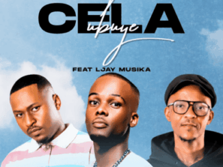 De Soul,Cela Ubuye, Brandon Dhludhlu, Ljay MusiKa,mp3, download, datafilehost, toxicwap, fakaza,House Music, Amapiano, Amapiano 2026, Amapiano Mix, Amapiano Music