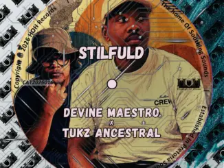 Devine Maestro, Tukz Ancestral, Stilfuld, download ,zip, zippyshare, fakaza, EP, datafilehost, album, Deep House Mix, Deep House, Deep House Music, Deep Tech, Afro Deep Tech, House Music
