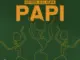 Dr Feel, Papi, El Kupa, mp3, download, datafilehost, toxicwap, fakaza, Afro House, Afro House 2026, Afro House Mix, Afro House Music, Afro Tech, House Music