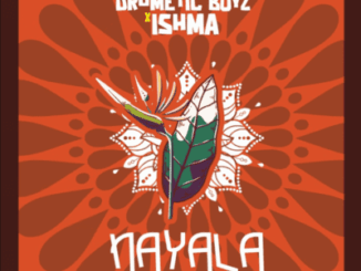 Drumetic Boyz, Nayala, Ishma, mp3, download, datafilehost, toxicwap, fakaza, Gqom Beats, Gqom Songs, Gqom Music, Gqom Mix, House Music
