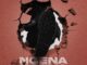 Fake’Well, Ngena Ngena, Uncool MC, Scotts Maphuma, Masterpiece YVK,mp3, download, datafilehost, toxicwap, fakaza,House Music, Amapiano, Amapiano 2026, Amapiano Mix, Amapiano Music