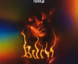 Fiddla, Burn, mp3, download, datafilehost, toxicwap, fakaza, Afro House, Afro House 2026, Afro House Mix, Afro House Music, Afro Tech, House Music