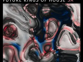 Future Kings Of House SA, 2 Faced,download ,zip, zippyshare, fakaza, EP, datafilehost, album, Deep House Mix, Deep House, Deep House Music, Deep Tech, Afro Deep Tech, House Music