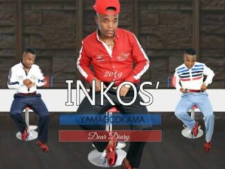 Inkosi’ Yamagcokama, Dear Diary, download ,zip, zippyshare, fakaza, EP, datafilehost, album, Maskandi Songs, Maskandi, Maskandi Mix, Maskandi Music, Maskandi Classics