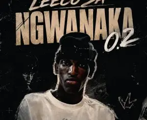 Leeco sa, Ngwanaka 0.2,mp3, download, datafilehost, toxicwap, fakaza,House Music, Amapiano, Amapiano 2026, Amapiano Mix, Amapiano Music