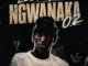 Leeco sa, Ngwanaka 0.2,mp3, download, datafilehost, toxicwap, fakaza,House Music, Amapiano, Amapiano 2026, Amapiano Mix, Amapiano Music