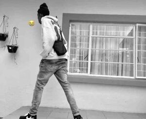 Lowbass Djy, Lowii After 42,mp3, download, datafilehost, toxicwap, fakaza,House Music, Amapiano, Amapiano 2026, Amapiano Mix, Amapiano Music