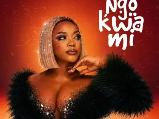 Mbalenhle M, Ngokwami,download ,zip, zippyshare, fakaza, EP, datafilehost, album, Afro House, Afro House 2026, Afro House Mix, Afro House Music, Afro Tech, House Music
