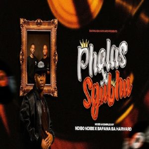 Ndibo Ndibs - Pholas X Sgubhu ft Bafana Ba Harvard