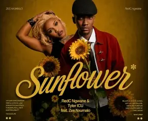 RedC Ngwane, Sunflower, Tyler ICU, Zee Nxumalo,mp3, download, datafilehost, toxicwap, fakaza, Kwaito Songs, Kwaito, Kwaito Mix, Kwaito Music, Kwaito Classics, Pop Music, Pop, Afro-Pop