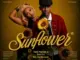 RedC Ngwane, Sunflower, Tyler ICU, Zee Nxumalo,mp3, download, datafilehost, toxicwap, fakaza, Kwaito Songs, Kwaito, Kwaito Mix, Kwaito Music, Kwaito Classics, Pop Music, Pop, Afro-Pop