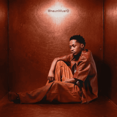 ShaunMusiQ, Missing Piece, download, zip, zippyshare, fakaza, EP, datafilehost, album, House Music, Amapinao, Amapiano 2026, Amapiano Mix, Amapiano Music